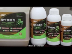 China's biopesticide organic pesticide Bt Bacillus Thuringiensis Biological agriculture pesticide