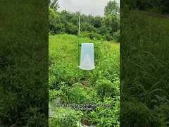 কীটপতঙ্গ ফাঁদ পোকামাকড় ফাঁদ চিনির রসুন সেনা কৃমি ময়দা শাকসবজি কৃমি ব্রোকলি ফাঁদ