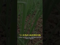 বেসিলাস স্পোর এবং ব্যাকুলোভাইরাস এর সংমিশ্রণ লেপিডোপ্টারান কীটপতঙ্গকে আরও ভালভাবে নিয়ন্ত্রণ করতে পারে