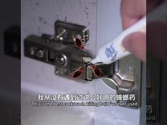 জৈবিক কীটনাশক প্রাপ্তবয়স্ক শামুক লার্ভা ডিম হত্যা বেট জেল শামুক নির্মূল