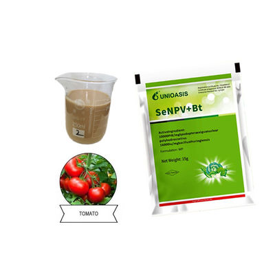 Organic Pesticide for Spodoptera Exigua and Spodoptera Litura Killing with Low Environmental Impact