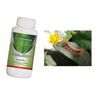 Fast-acting agent pesticide EoNPV Bt SC control population base of tea geometrid