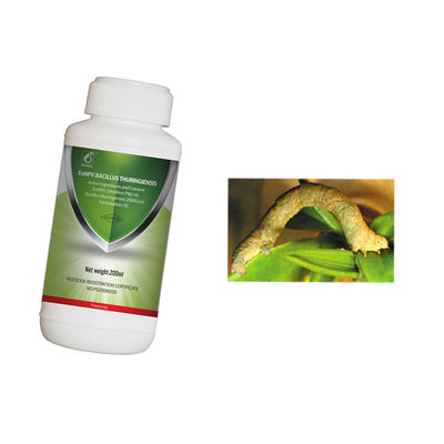 Organic Planting Tea Geometrid Tea Worm Target Pests Killing Tea Farm Safe Insecticide