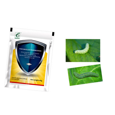 No Resistance for Virus Bio Pesticide PrGV Bt Get Rid of Cabbage Worms Low-toxic Effective Control Means 