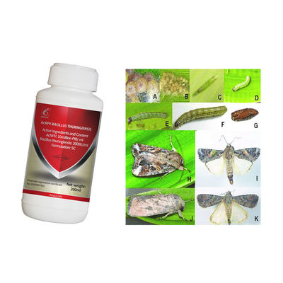 Effective Maize Crop Pesticide with 2 Years Shelf Life Natural Organic and Compatible with Other Pesticides