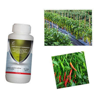 Unioasis HaNPV Bt Bollworm Killer Biological Insecticide for Cotton Pest Control with 16000 IU/mg Active Content and No Residue